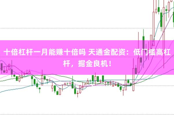 十倍杠杆一月能赚十倍吗 天通金配资：低门槛高杠杆，掘金良机！