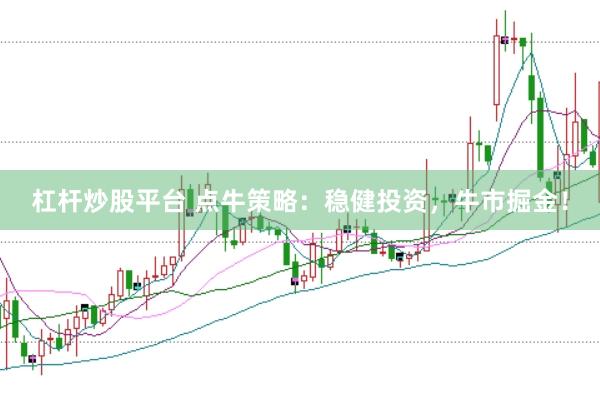 杠杆炒股平台 点牛策略：稳健投资，牛市掘金！
